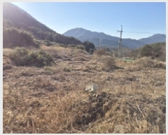  2025Ÿ20224 泲  밡  204      (Ӿ)