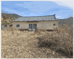  2025Ÿ20994 泲  д ø 241      ð