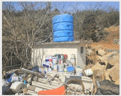  2025Ÿ20994 泲  д ø 241      ð