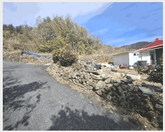  2025Ÿ20994 泲  д ø 241      ð