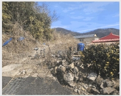  2025Ÿ20994 泲  д ø 241      ð