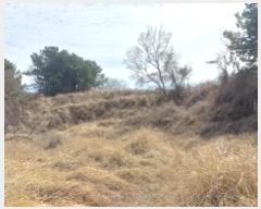  2025Ÿ21011 泲    695      (1)