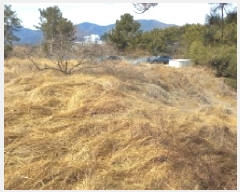  2025Ÿ21011 泲    695      (1)