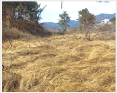  2025Ÿ21011 泲    695      (1)