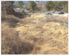  2025Ÿ21011 泲    695      (1)