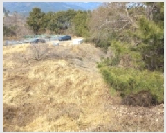  2025Ÿ21011 泲    695      (1)