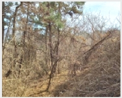  2025Ÿ21011 泲    695      (1)