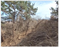  2025Ÿ21011 泲    695      (1)