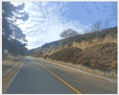  2025Ÿ��21019 �泲 ������ ���θ� ������ 134      ����(��1)���