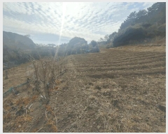  2025Ÿ��21019 �泲 ������ ���θ� ������ 134      ����(��1)���