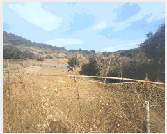  2025Ÿ��21019 �泲 ������ ���θ� ������ 134      ����(��1)���