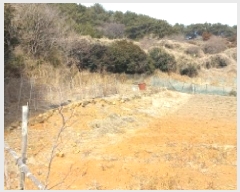  2025Ÿ��21019 �泲 ������ ���θ� ������ 134      ����(��1)���