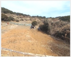  2025Ÿ��21019 �泲 ������ ���θ� ������ 134      ����(��1)���