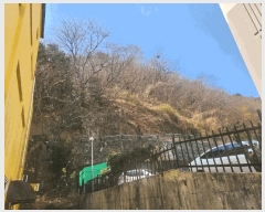  2025Ÿ��21066  �Ӿ߰��