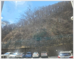  2025Ÿ��21066  �Ӿ߰��