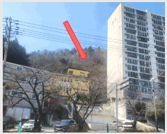  2025Ÿ��21066  �Ӿ߰��