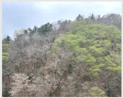  2025Ÿ��21066  �Ӿ߰��