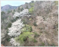  2025Ÿ��21066  �Ӿ߰��