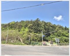  2025Ÿ��21114 �泲 ������ ���ظ� ���¸� ��267-12      ����(�Ӿ�)���