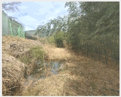  2025Ÿ��21130 �泲 ������ �д��� �ø� 173      ����(��1)���