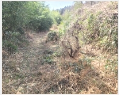  2025Ÿ��21130 �泲 ������ �д��� �ø� 173      ����(��1)���