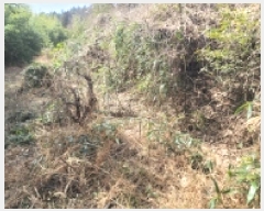  2025Ÿ��21130 �泲 ������ �д��� �ø� 173      ����(��1)���