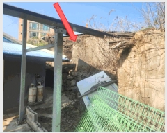  2025Ÿ21170 泲  û  213      ð