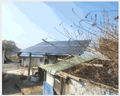  2025Ÿ21170 泲  û  213      ð