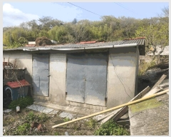  2025Ÿ��21196  �������