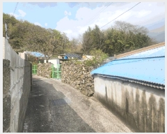  2025Ÿ��21196  �������