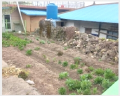  2025Ÿ��21196  �������