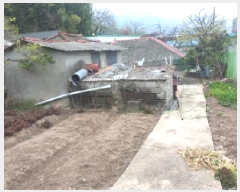  2025Ÿ��21196  �������