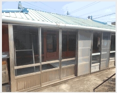  2025Ÿ��21212  ���ð��