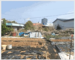  2025Ÿ��21212  ���ð��