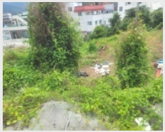  2025Ÿ��21220  �������