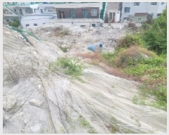  2025Ÿ��21220  �������