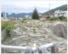  2025Ÿ��21220  �������