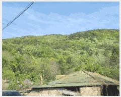  2025Ÿ21268 泲  ʸ  73      (Ӿ)