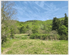  2025Ÿ21268 泲  ʸ  73      (Ӿ)