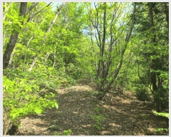  2025Ÿ21268 泲  ʸ  73      (Ӿ)