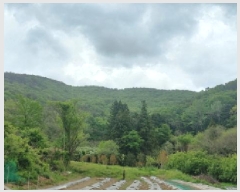  2025Ÿ21268 泲  ʸ  73      (Ӿ)