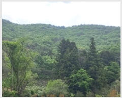  2025Ÿ21268 泲  ʸ  73      (Ӿ)