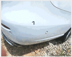  2025Ÿ21285 뿵 볲 ޾ȱ 33, ׸ڵ      