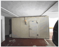  2025Ÿ��21293  �ټ���(����)���