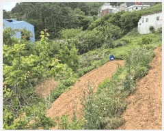  2025Ÿ��21334 �泲 ������ ���� ������ 307-7      ����(��1)���