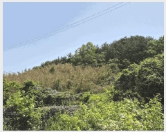  2025Ÿ��21334 �泲 ������ ���� ������ 307-7      ����(��1)���