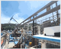  2025Ÿ21384 泲 뿵 õ 168-3       ڰ