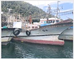  2025Ÿ21384 泲 뿵 õ 168-3       ڰ