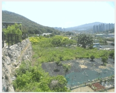  2025Ÿ��21422  ����