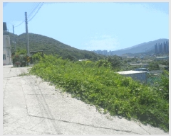  2025Ÿ��21422  ����